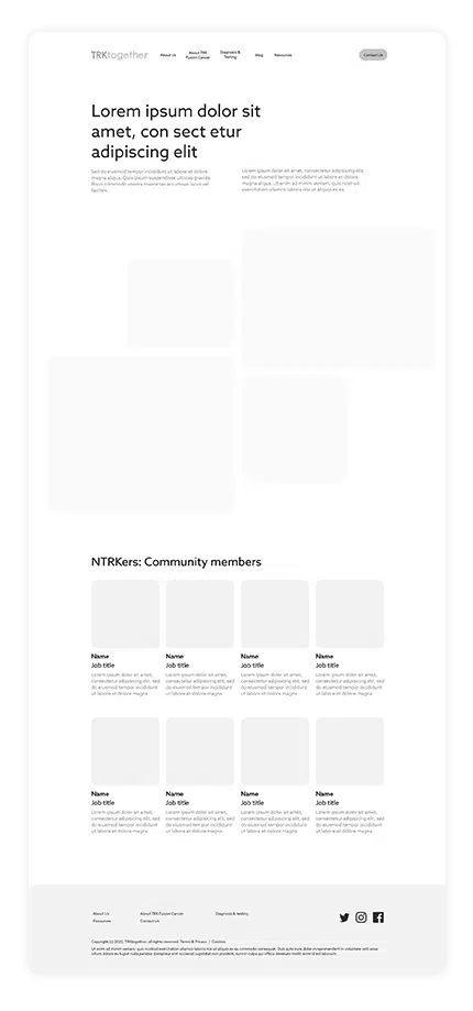 NTRKers - Wireframe - About